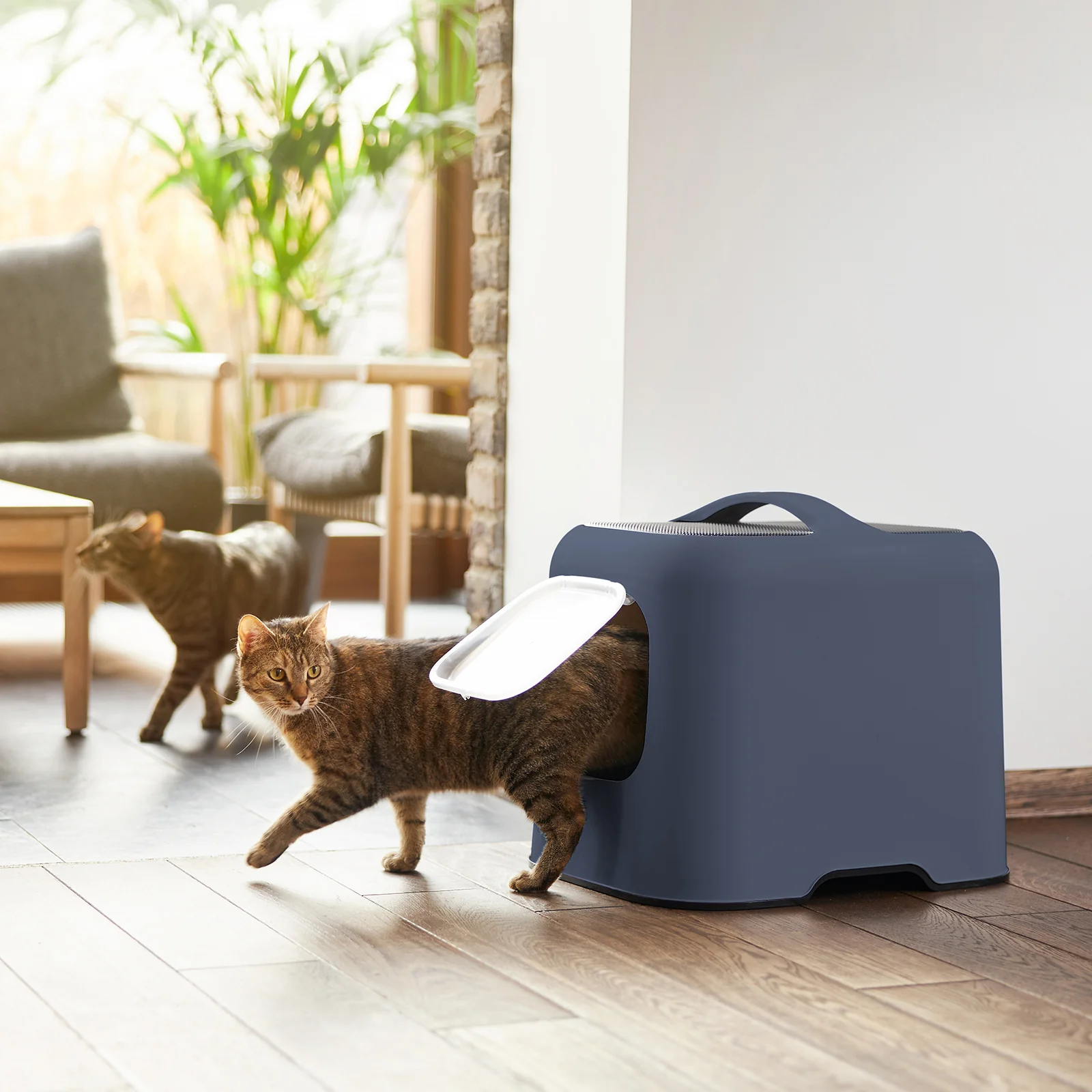 Katzentoilette  Bea - Image 20