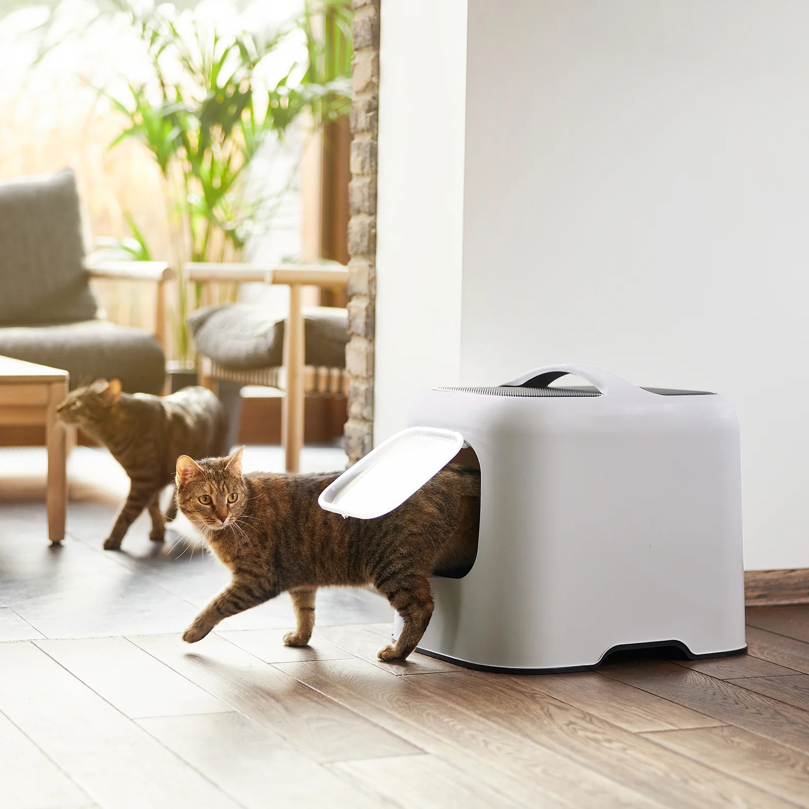 Katzentoilette Bea SplashGuard Pro - Image 5