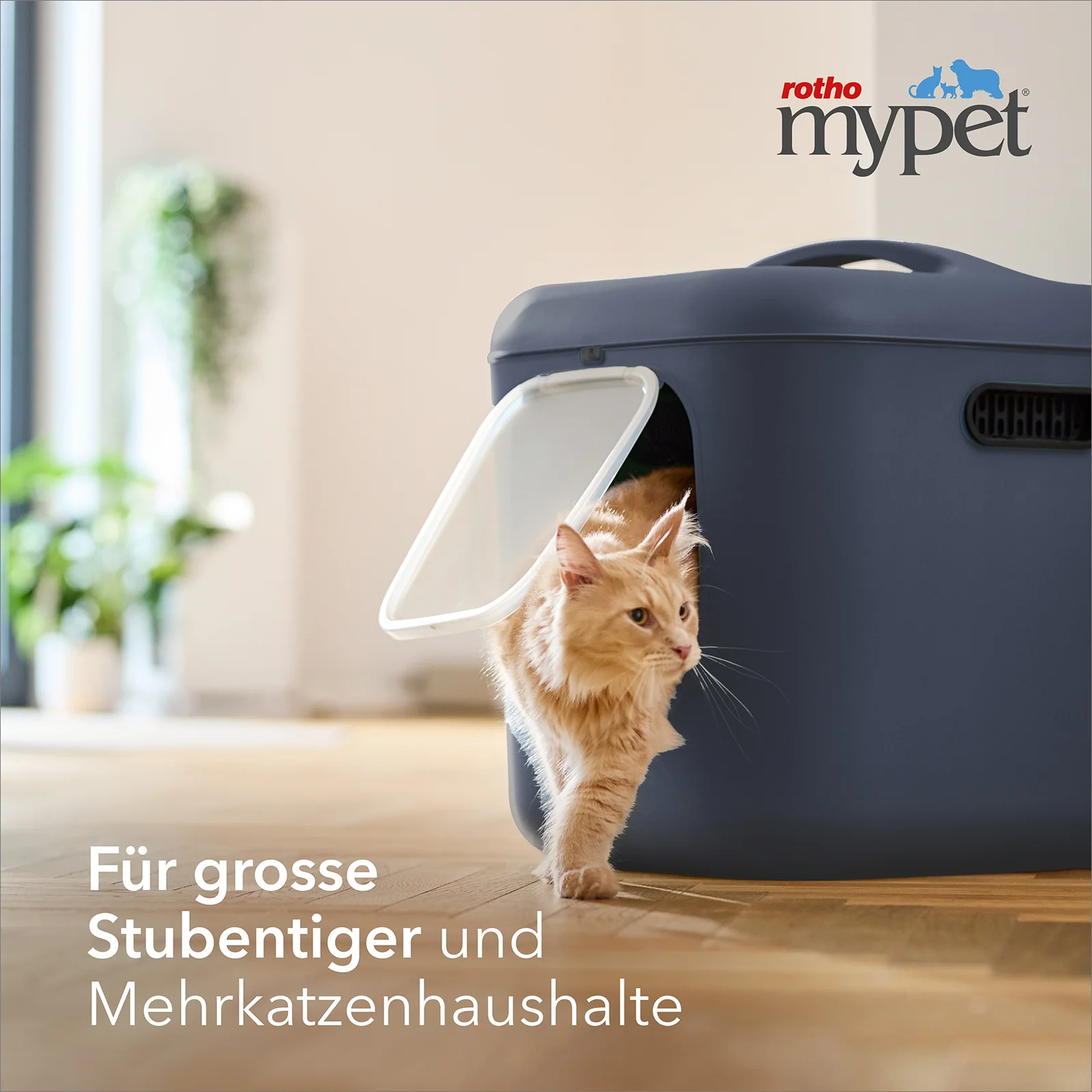 Katzentoilette Bea XL - Image 11
