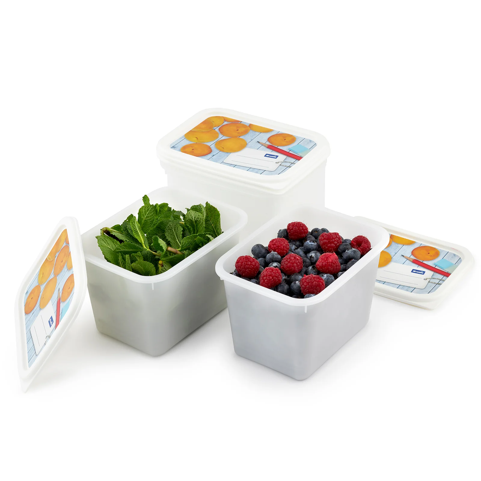 4er Set Gefrierdose 1 l DOMINO - Image 4