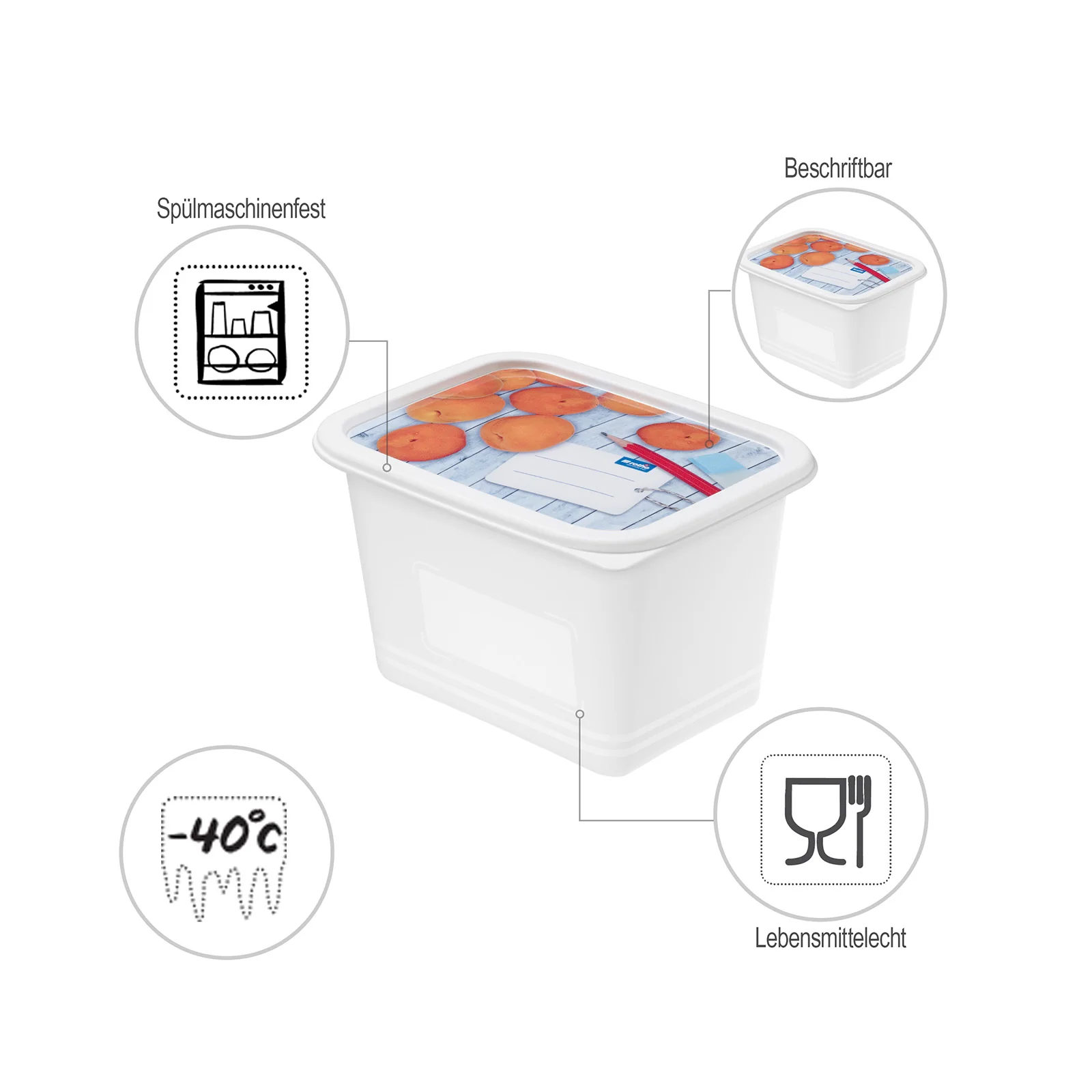 4er Set Gefrierdose 1 l DOMINO - Image 5